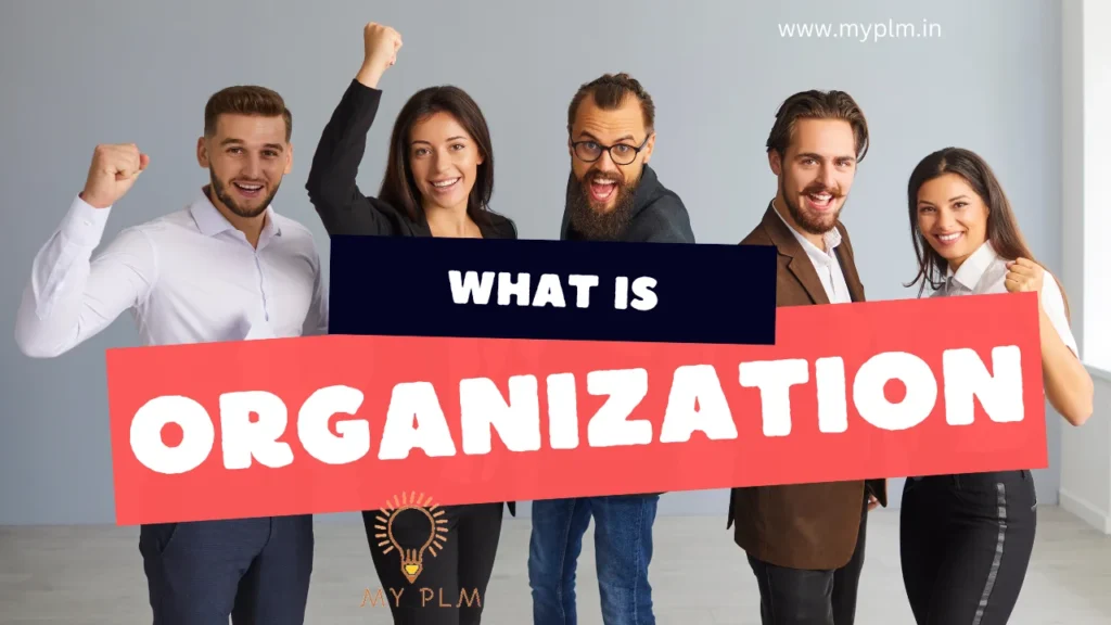 What is Teamcenter Organization
